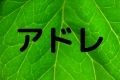 アドレ