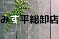 みす平総卸店