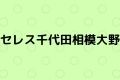 セレス千代田相模大野