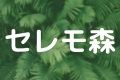 セレモ森